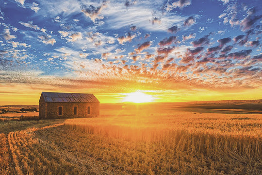 Are you a Small Tourism Business?