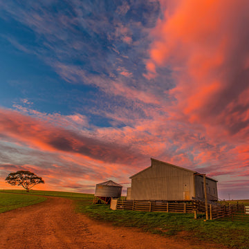 “ Old Shearer’s Shed” Fine Art Print